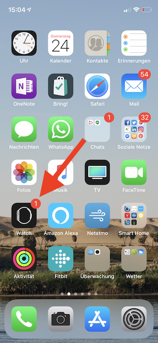 Öffne die Apple Watch App